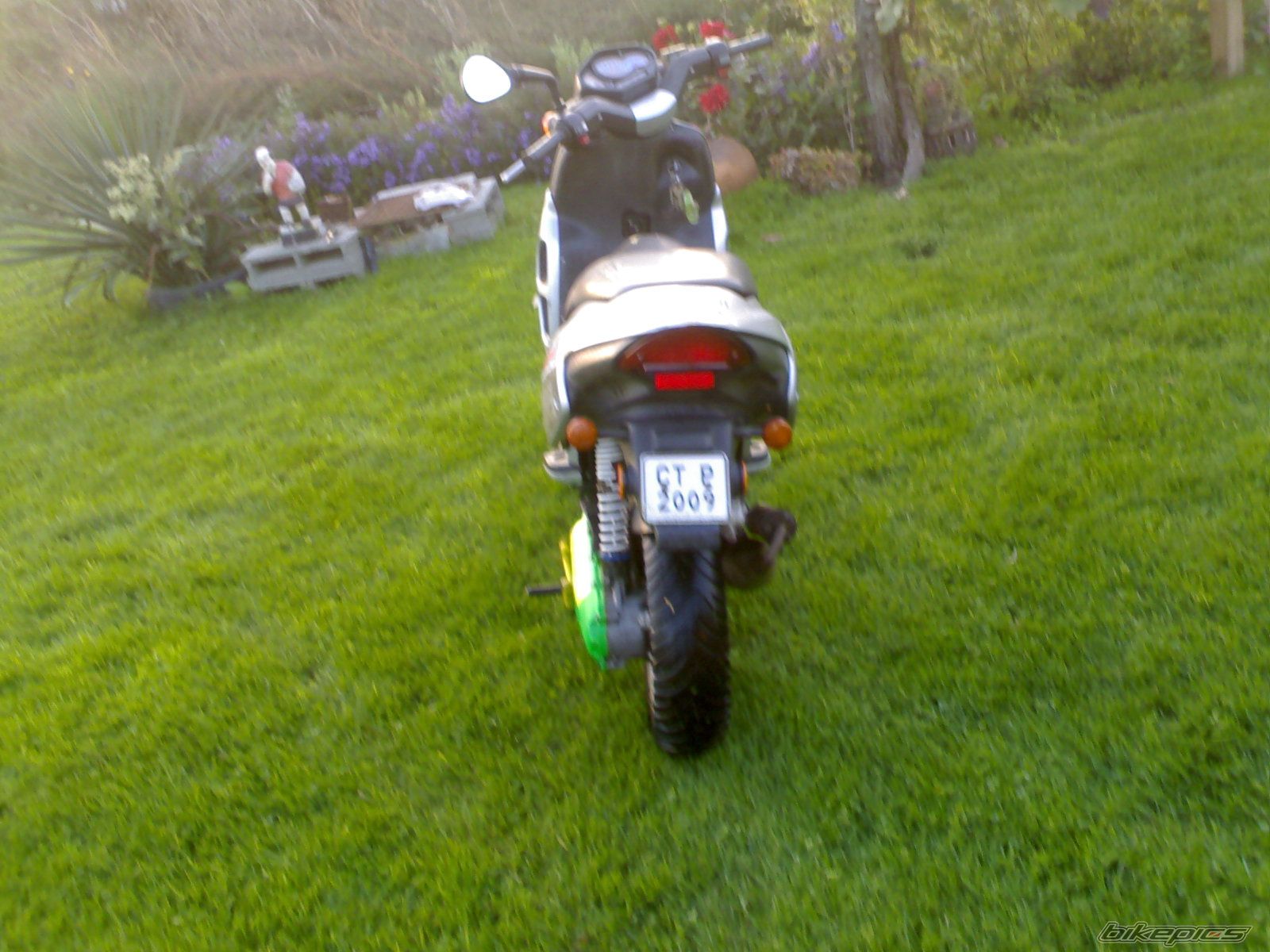 Photo 1458769