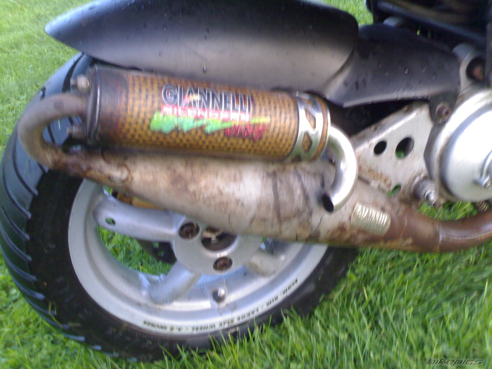 Photo 1458798