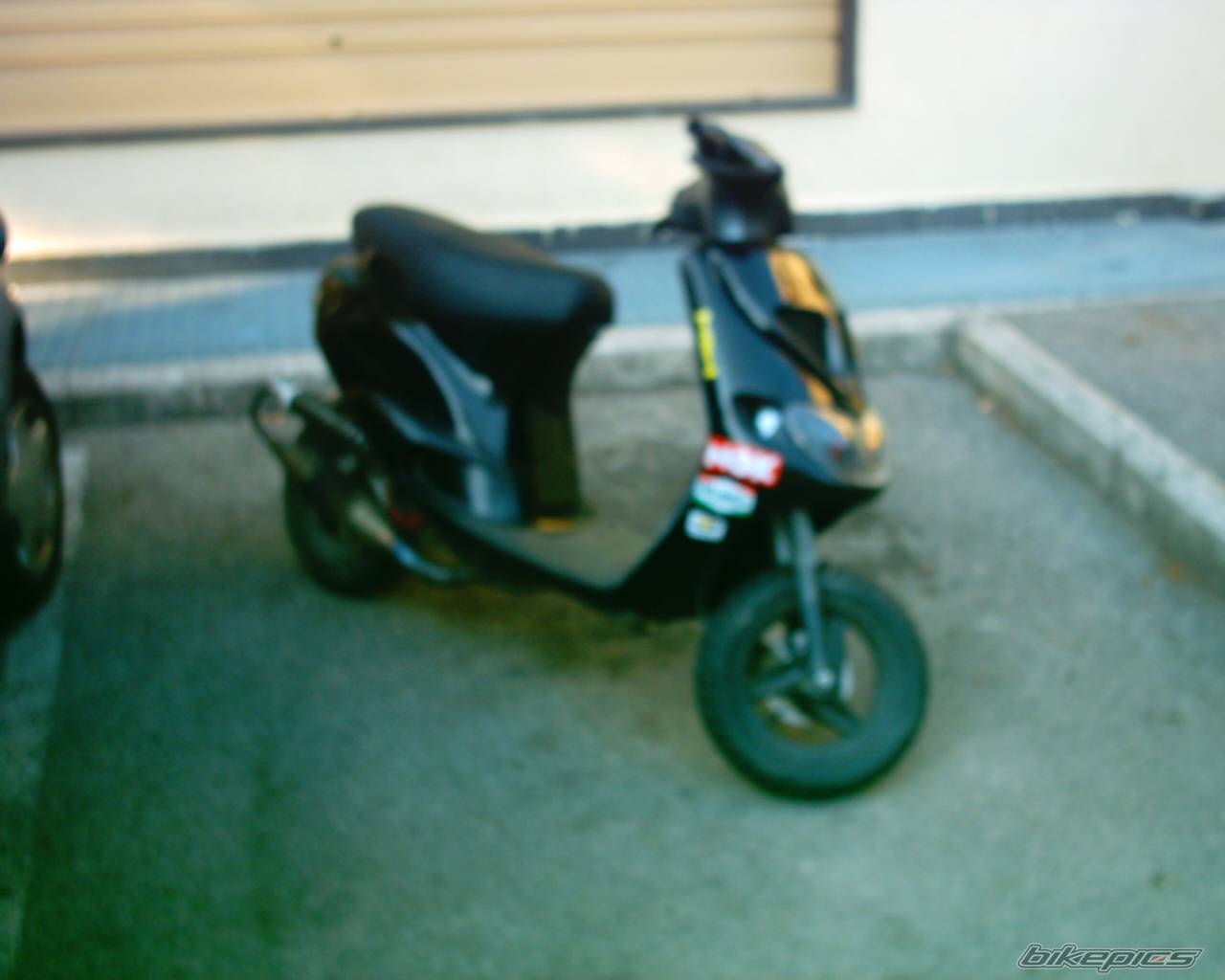 Photo 145884