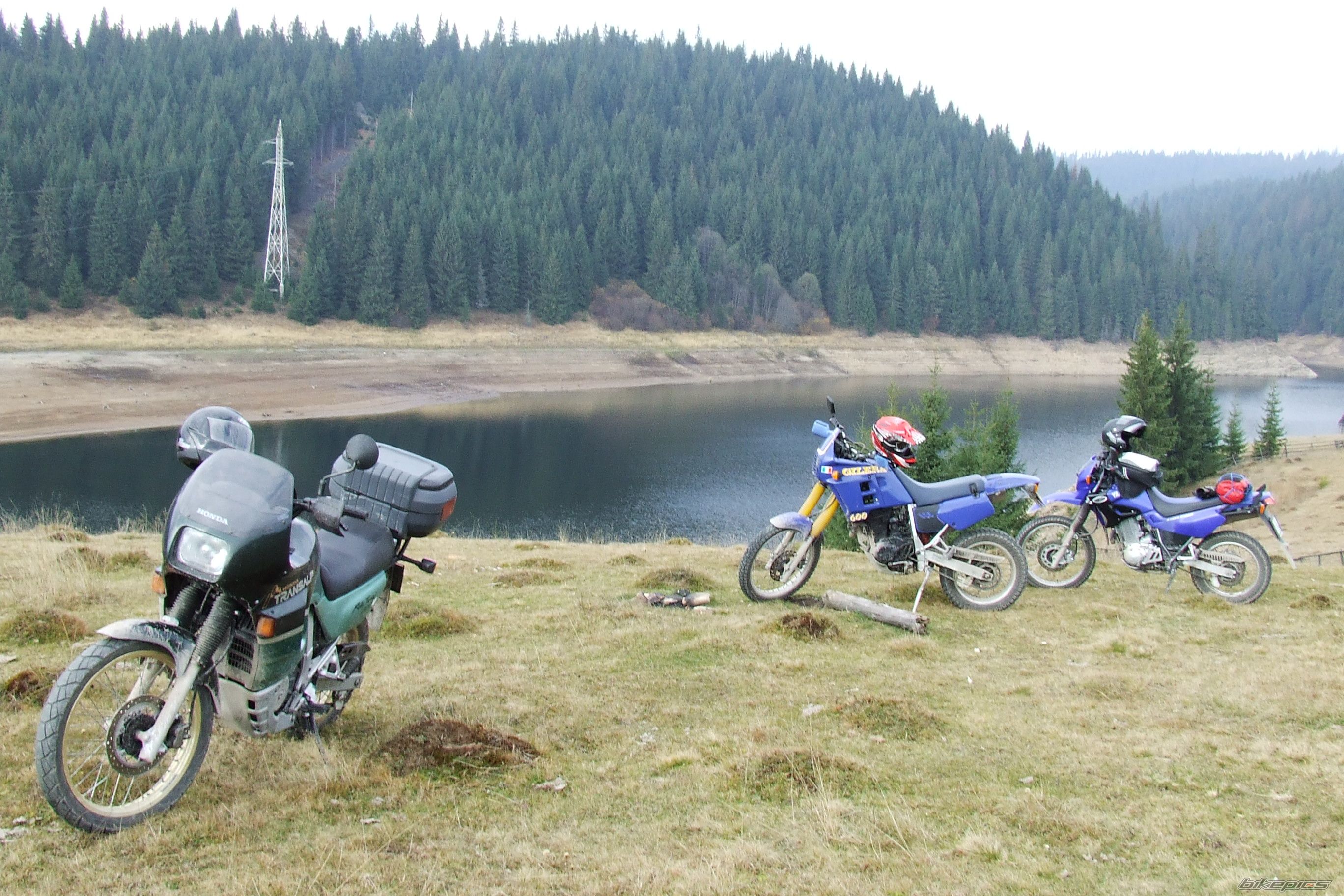 Bike Photo 1458975