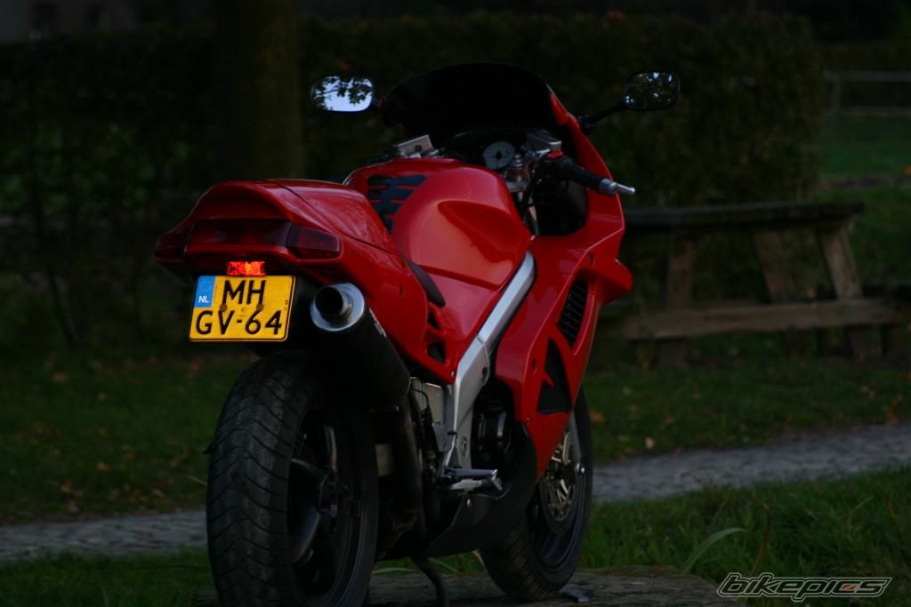 Photo 1458990