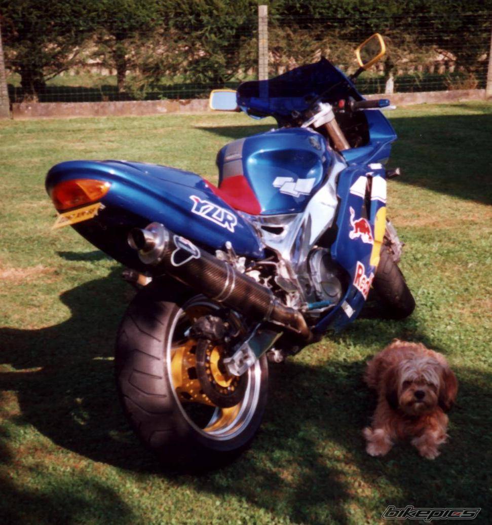 Photo 14590