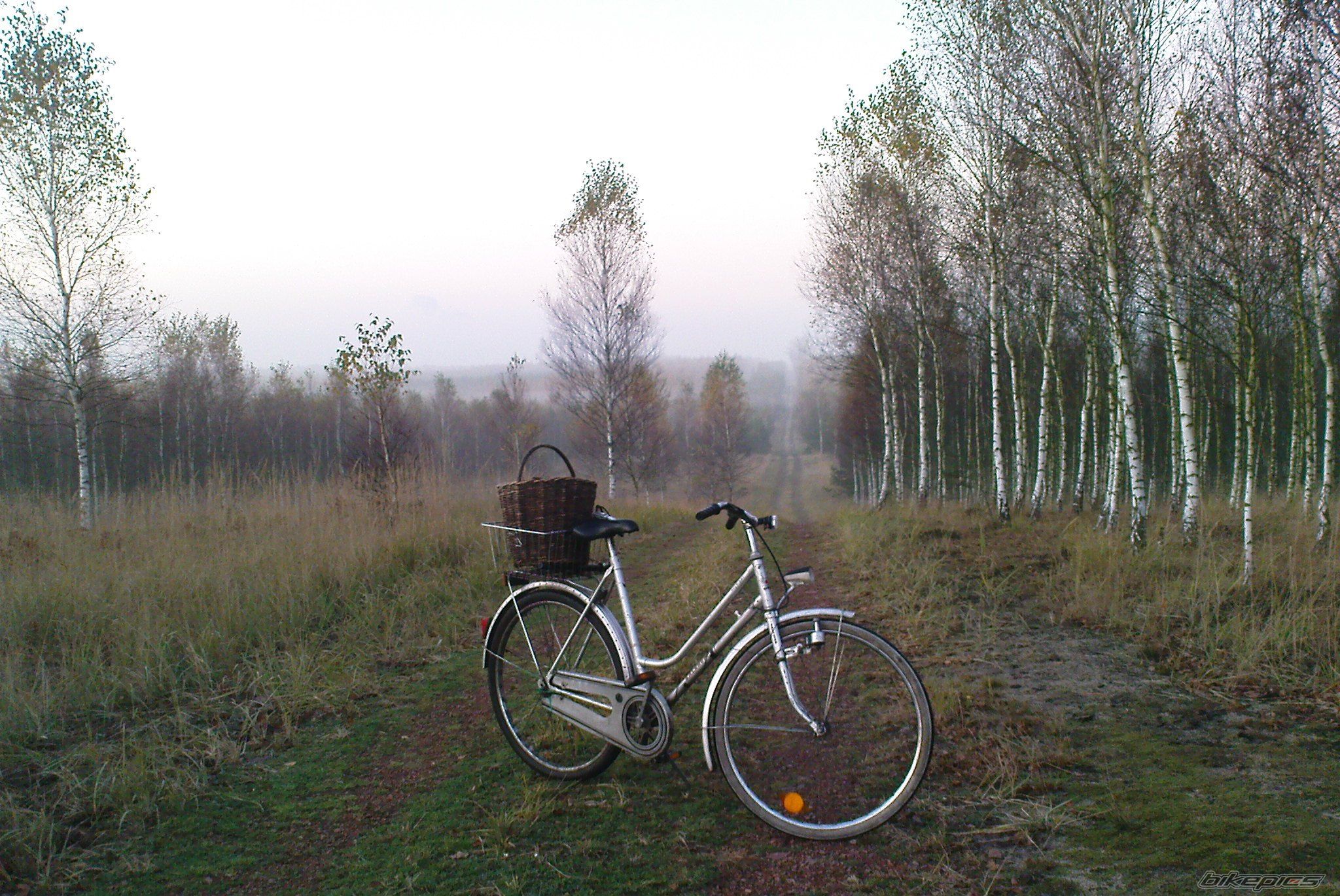 Photo 1459137