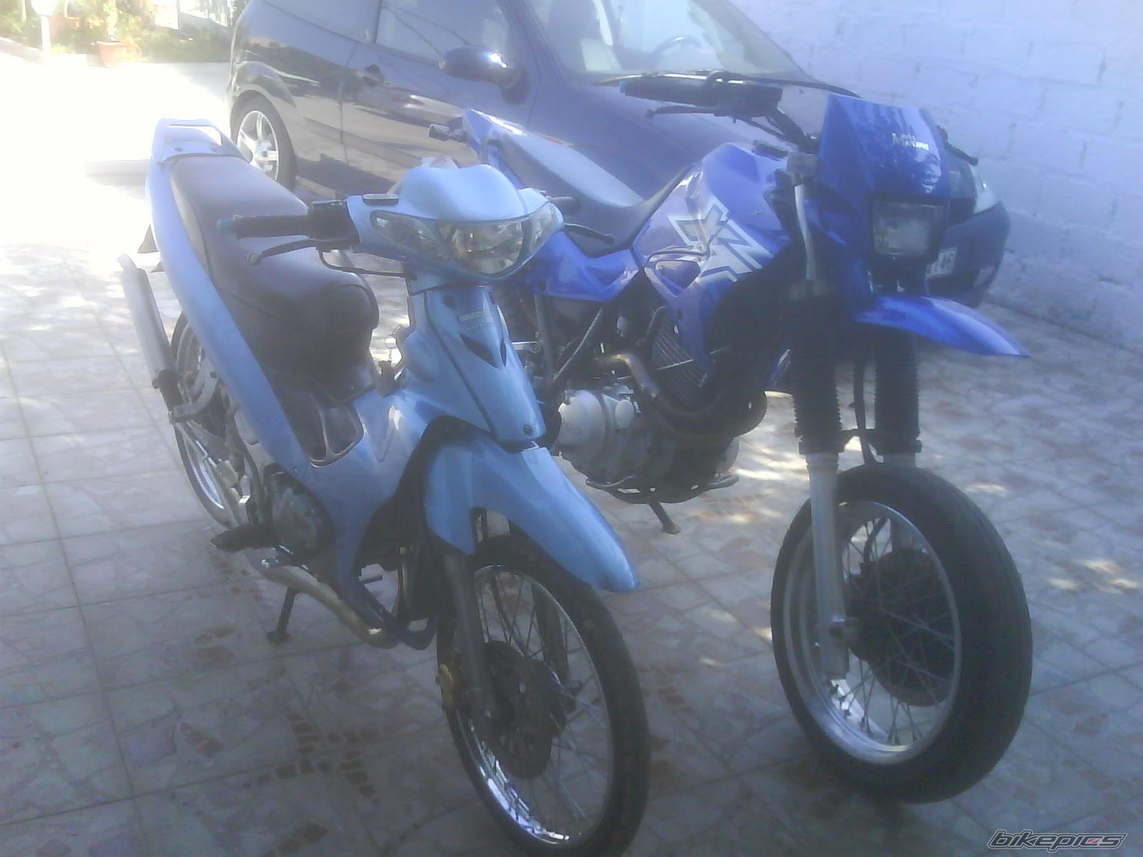 Photo 1459218