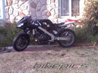 Photo 1459326
