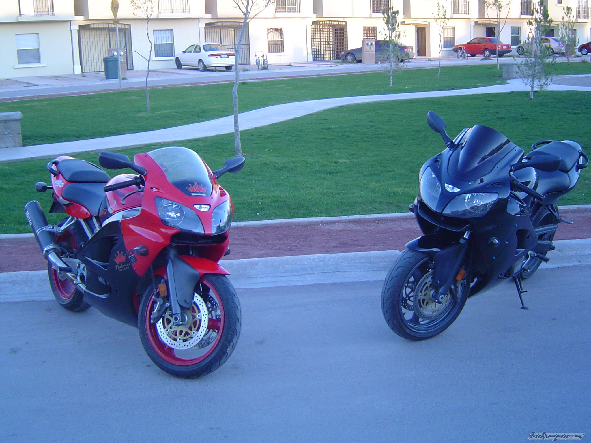 Photo 1459356