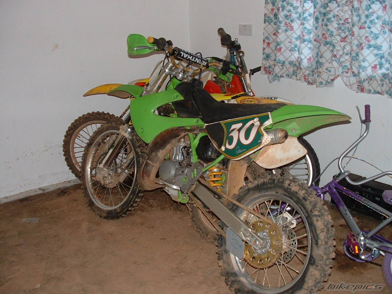 Photo 145941