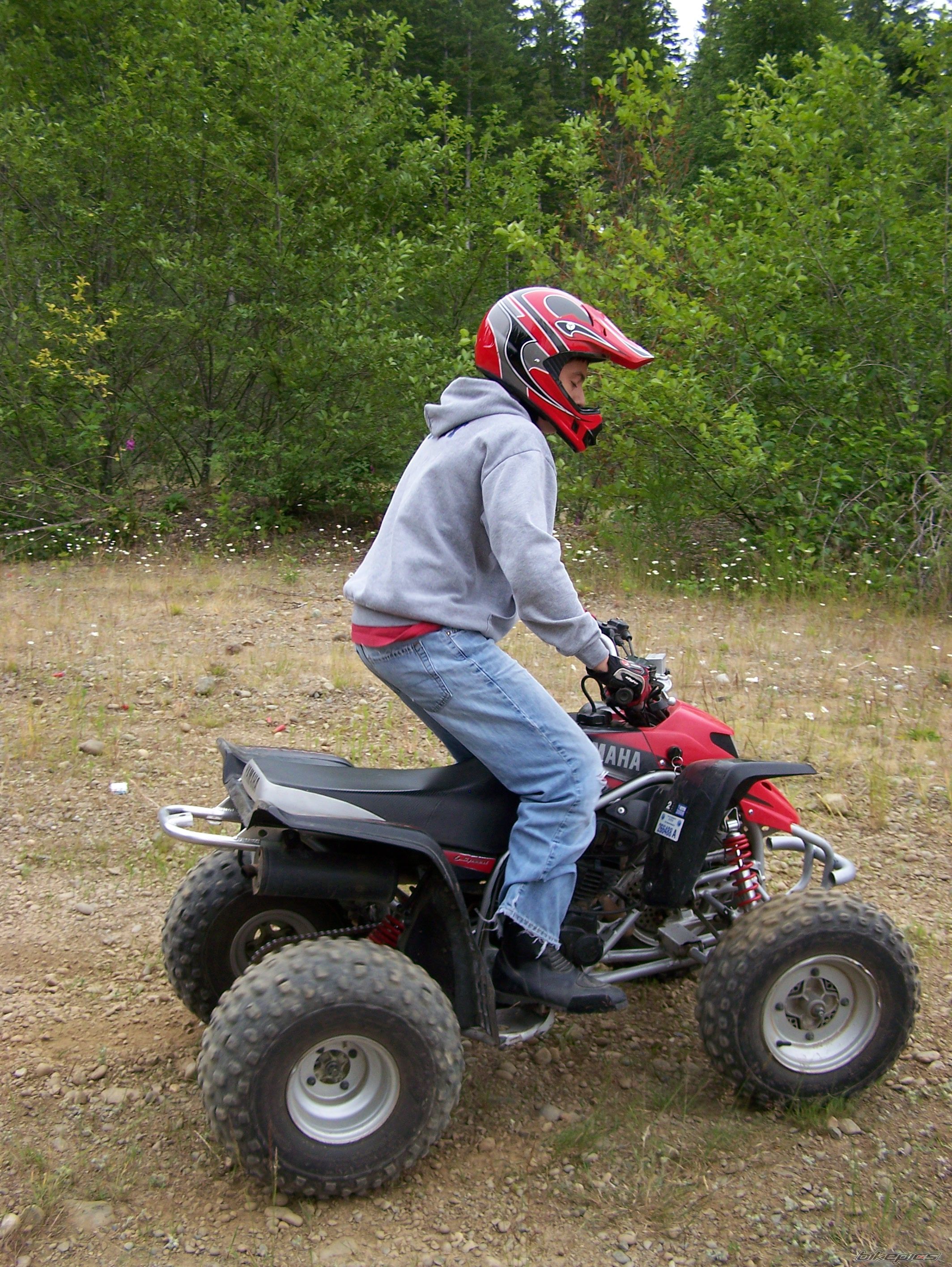 Photo 1459478