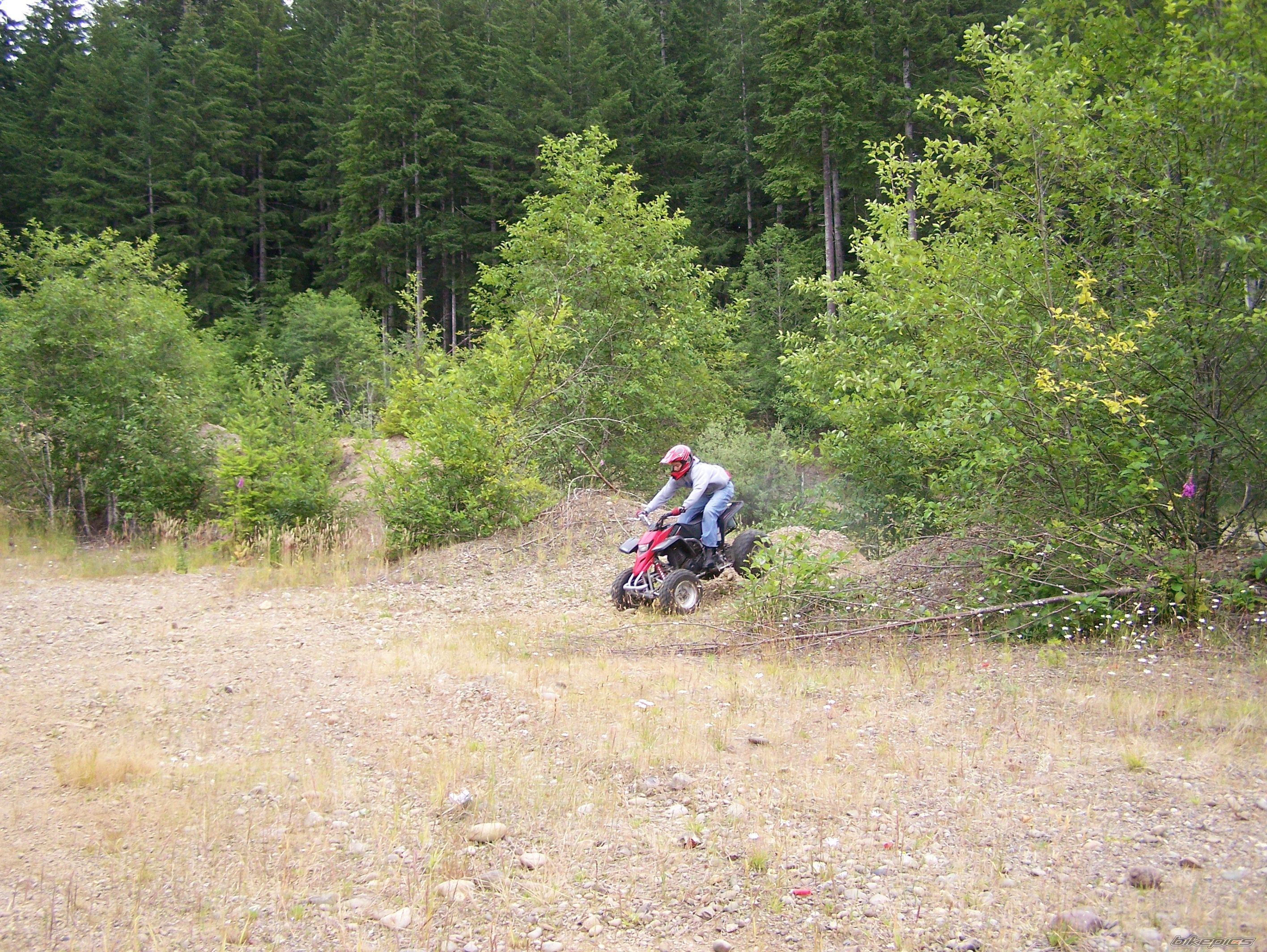 Photo 1459483