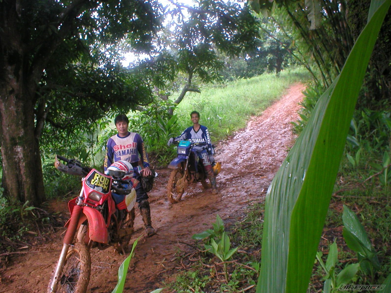 Bike Photo 1459501