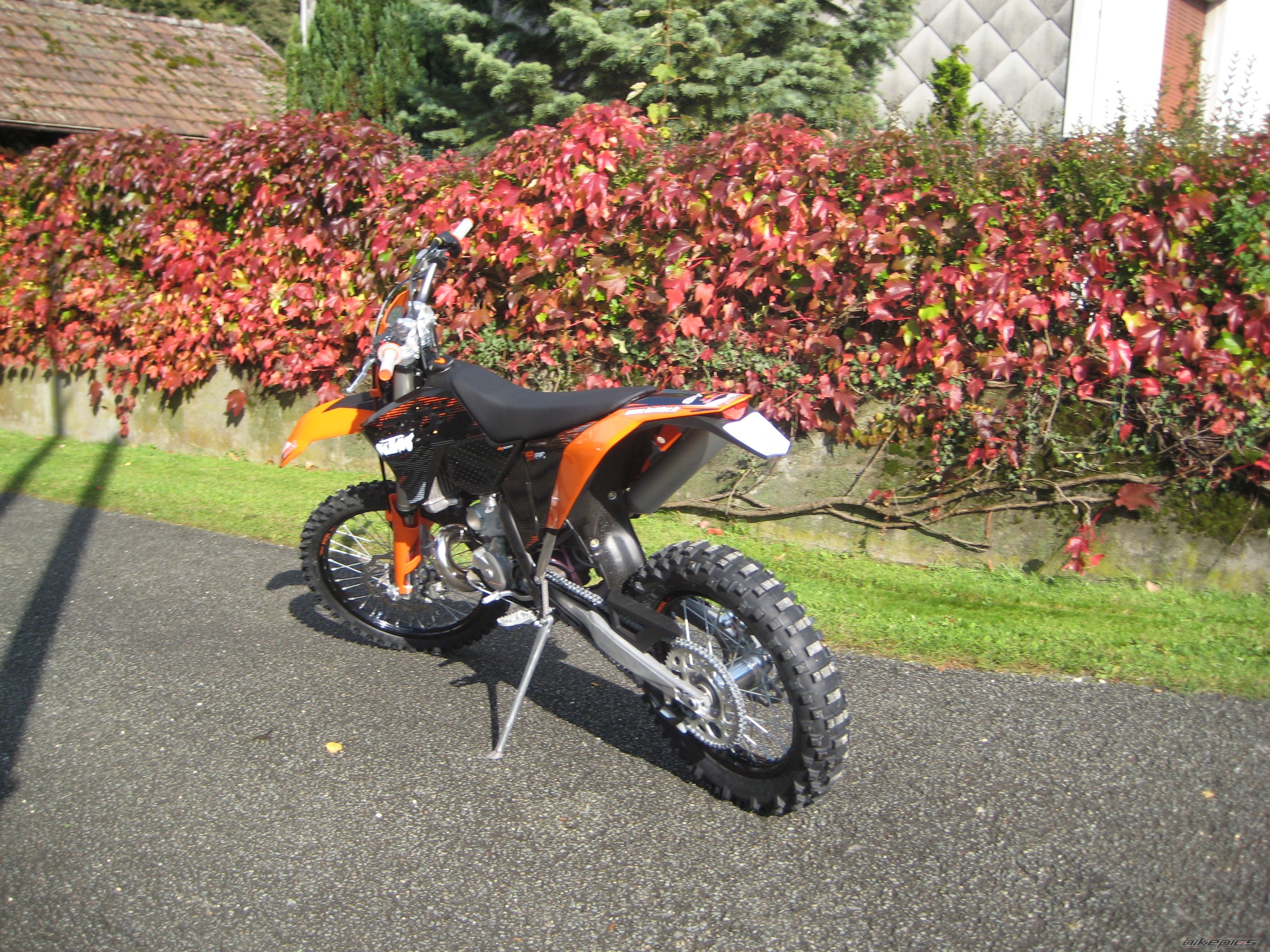 Photo 1459570
