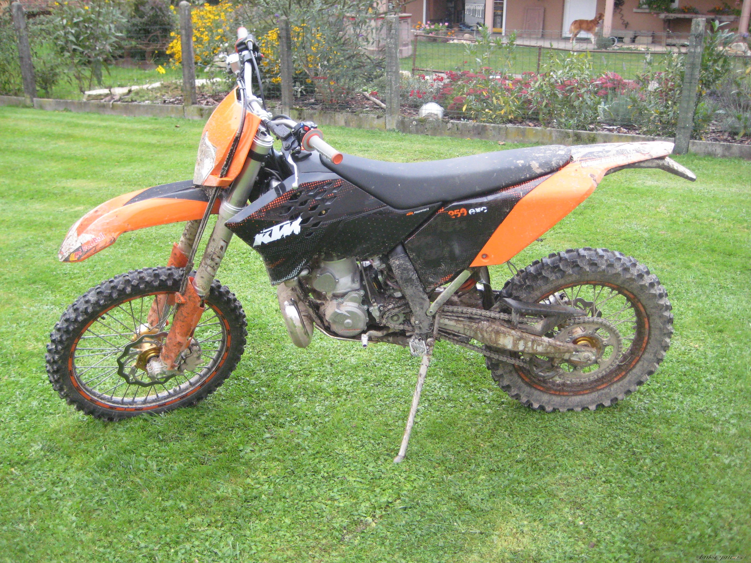 Photo 1459585