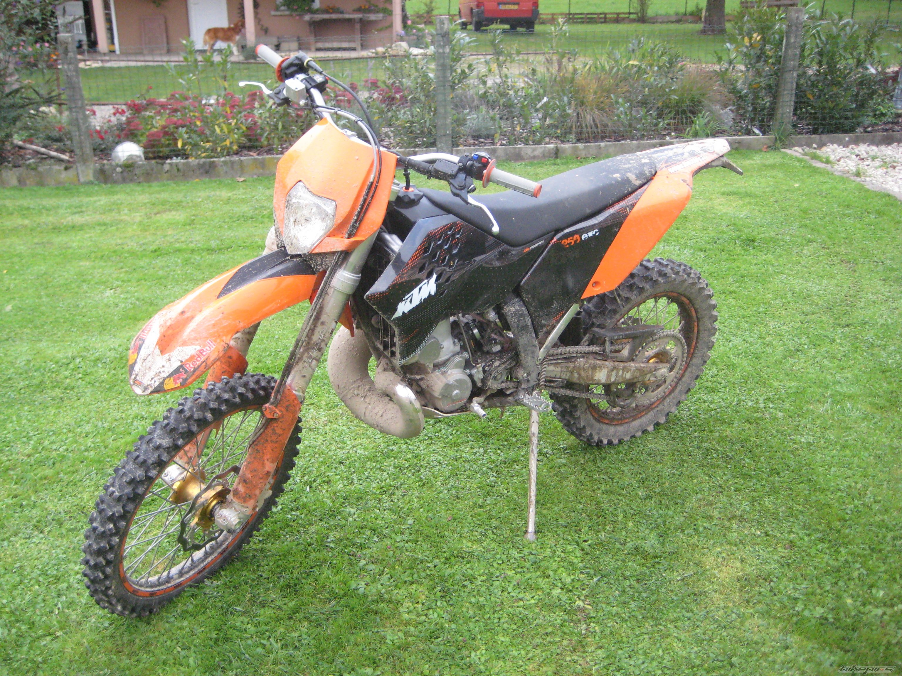 Photo 1459601