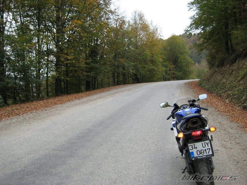 Bike Photo 1459628