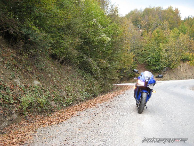 Bike Photo 1459629