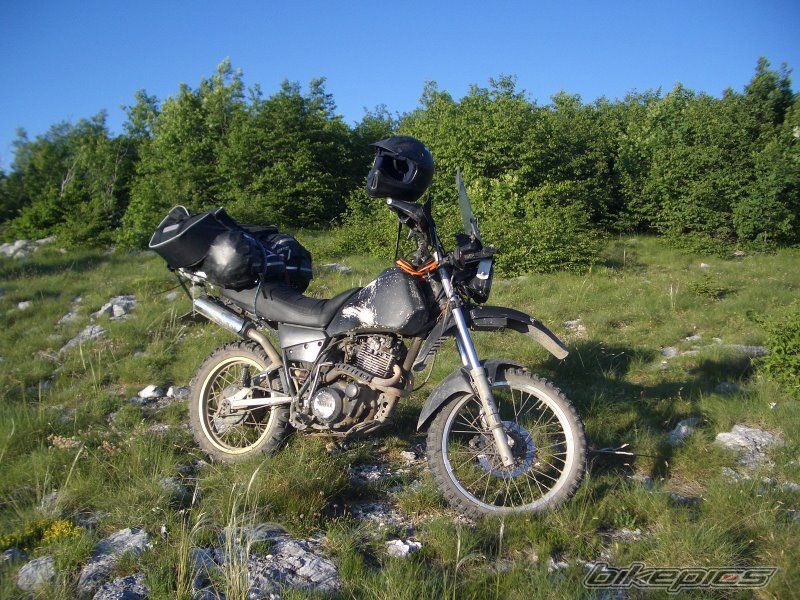 Photo 1459653