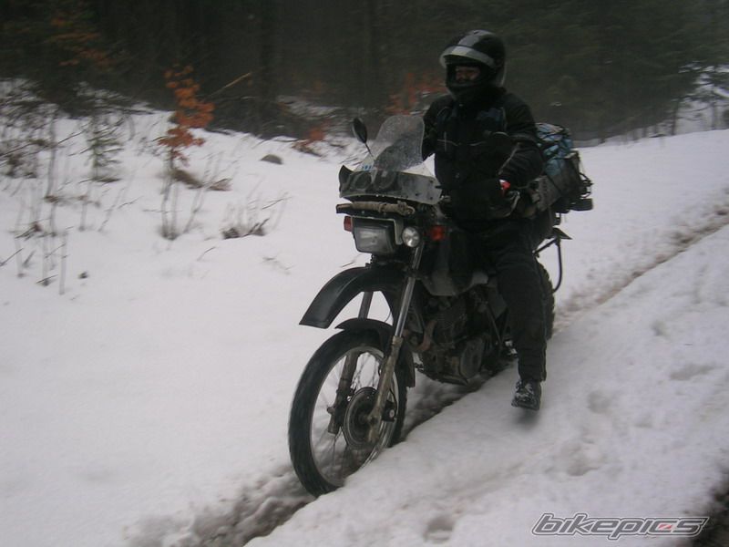 Photo 1459658