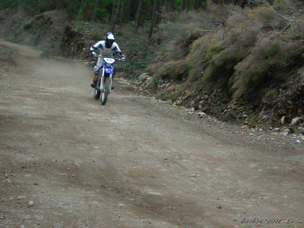 Bike Photo 145973