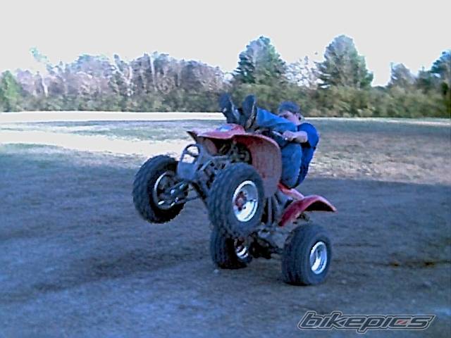 Photo 14598