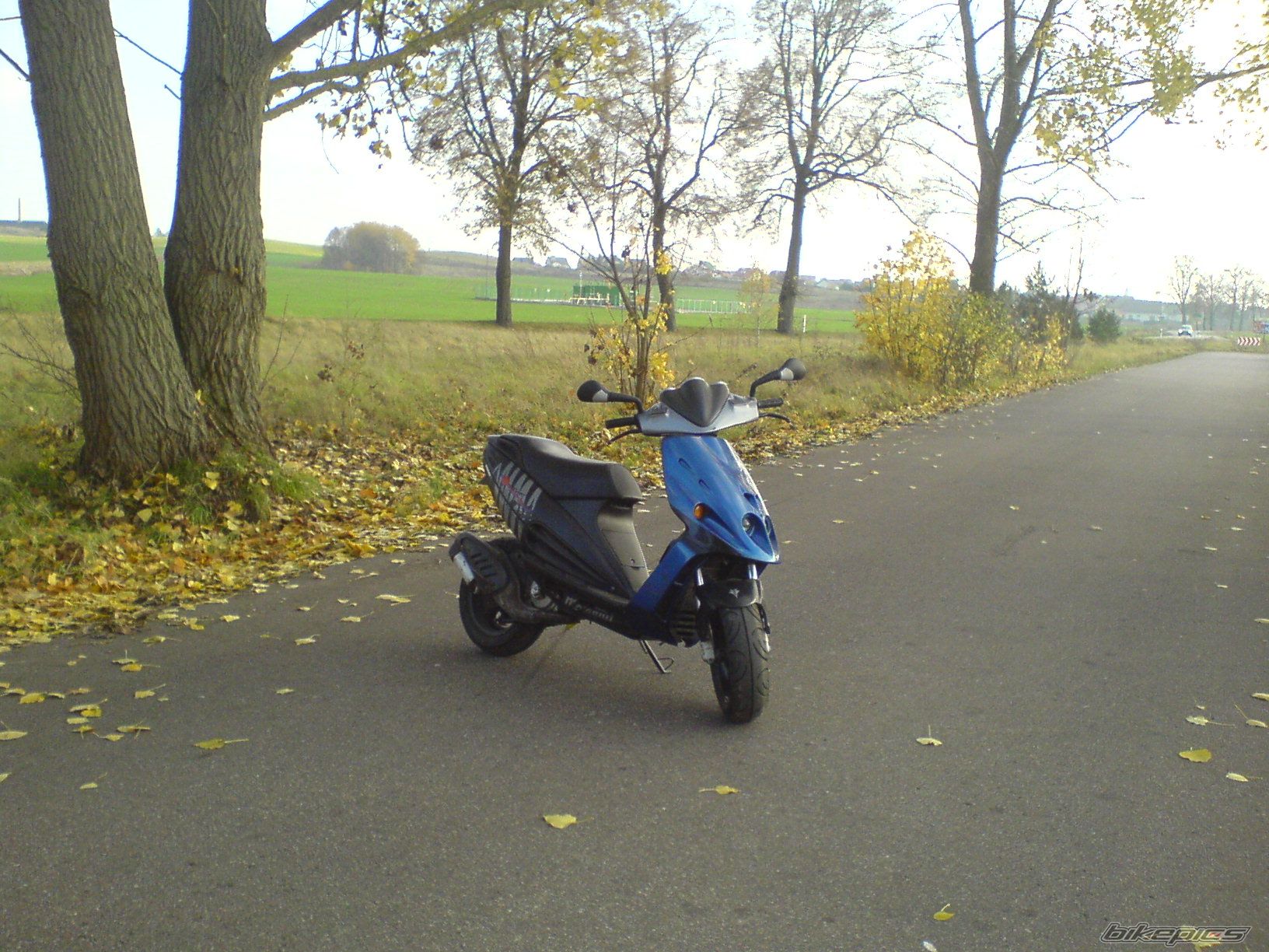 Photo 1459856