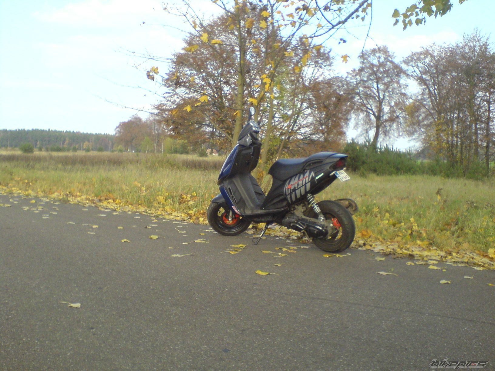 Photo 1459861