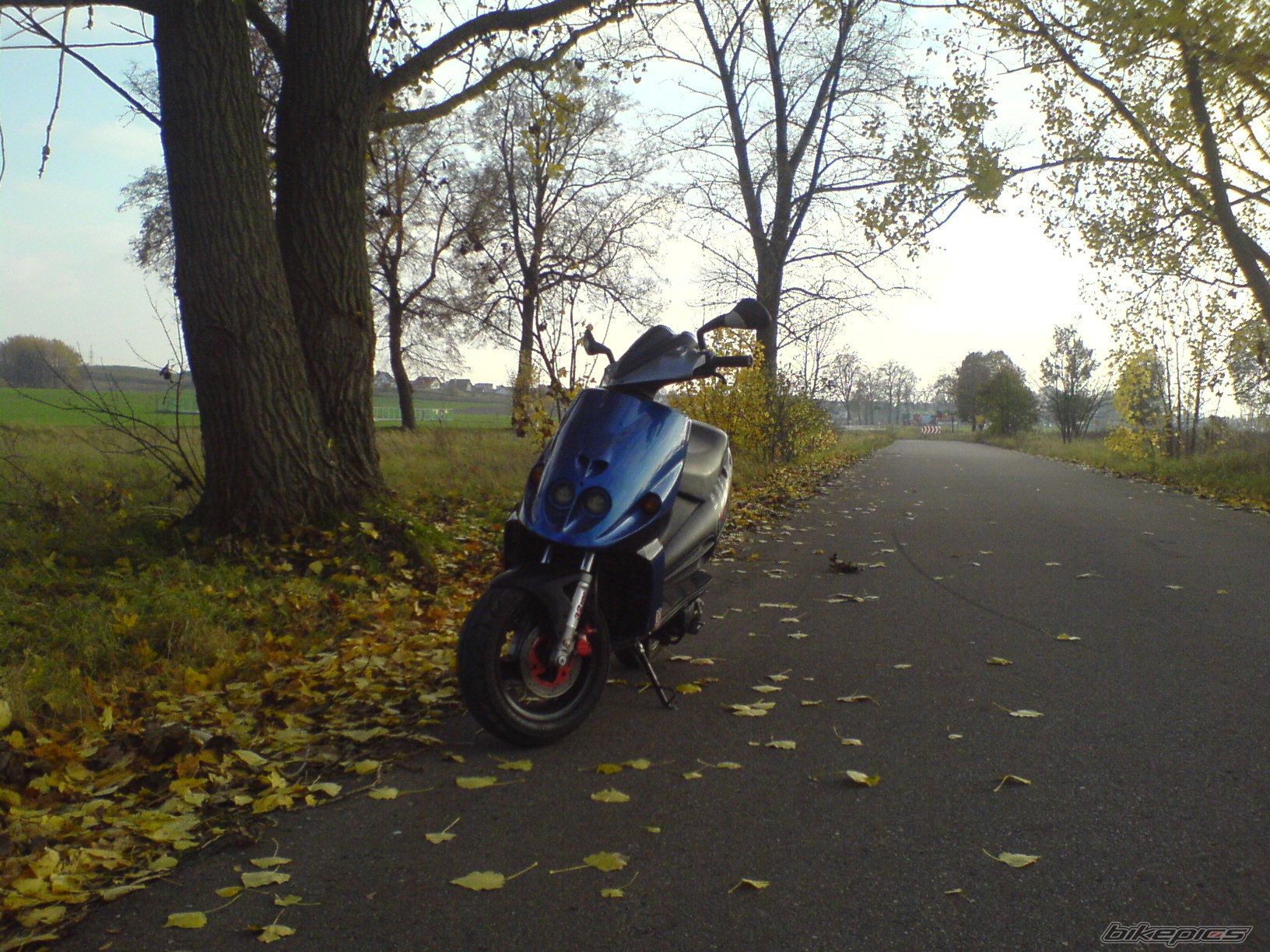 Photo 1459863