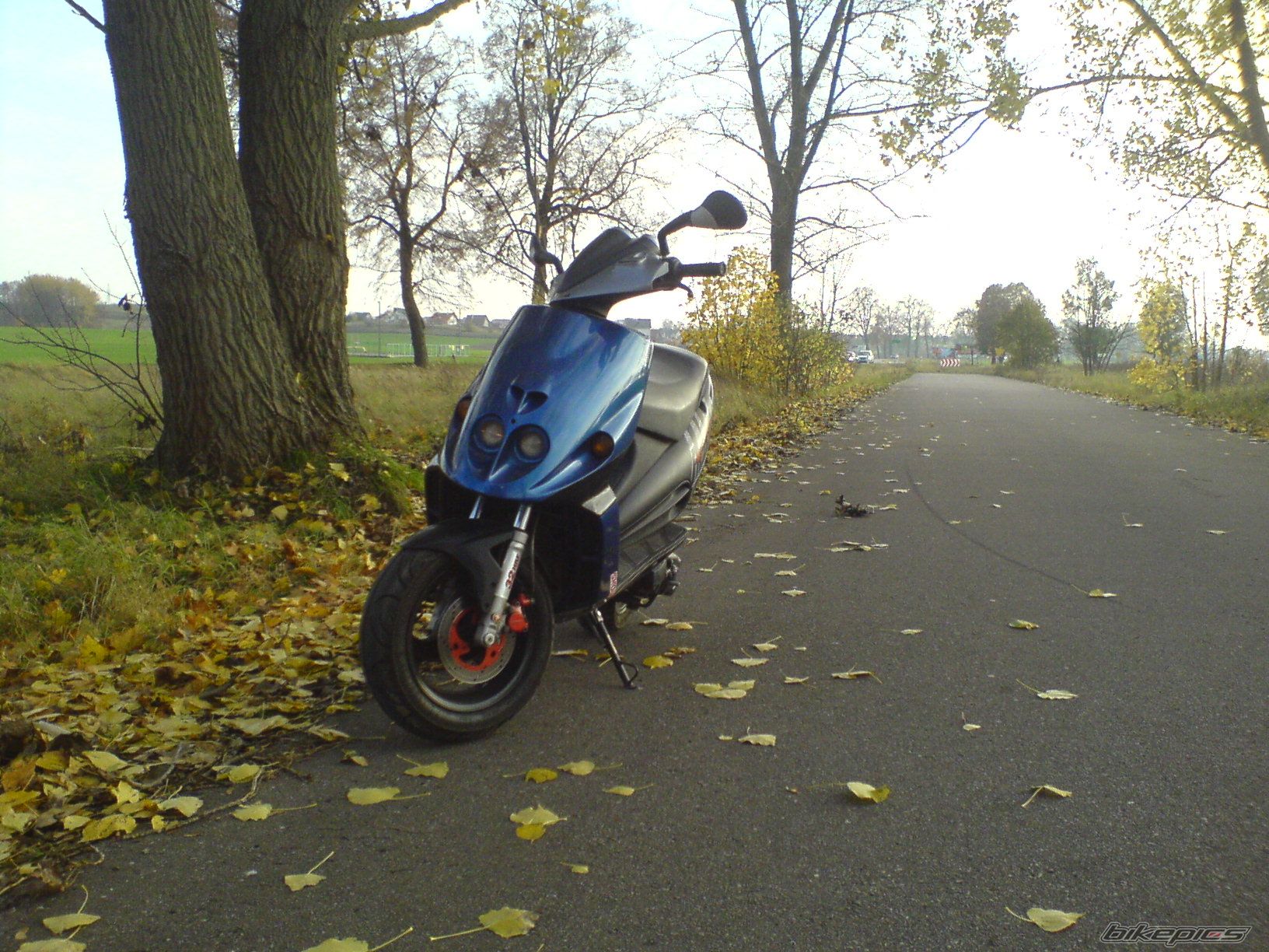 Photo 1459866