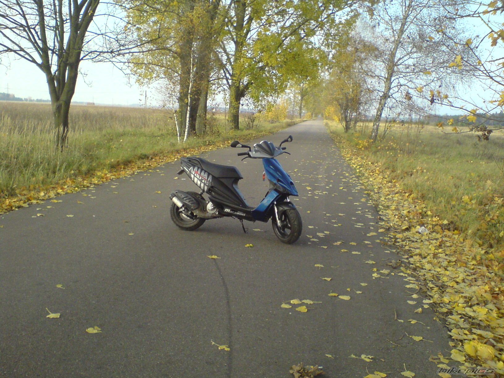 Photo 1459869