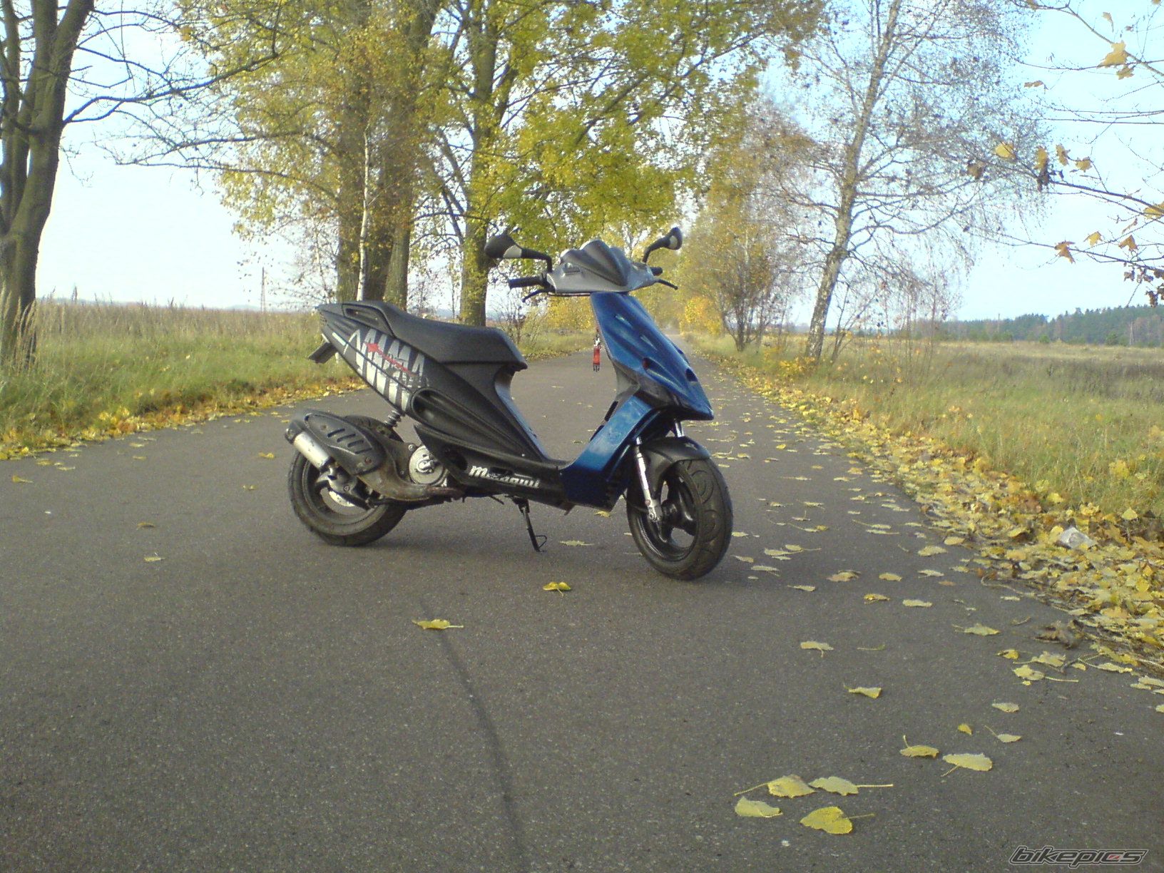 Photo 1459872