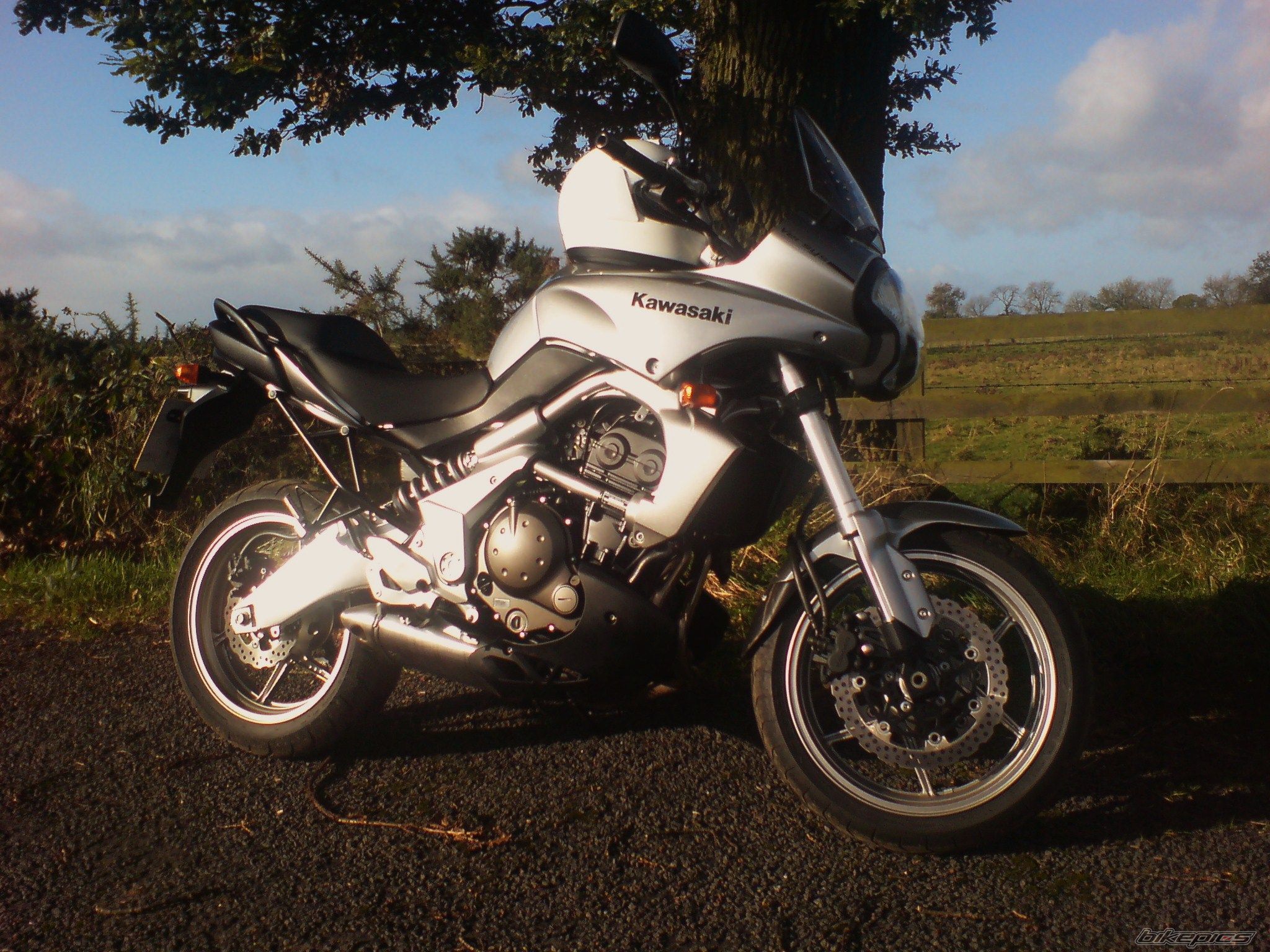 Photo 1459922