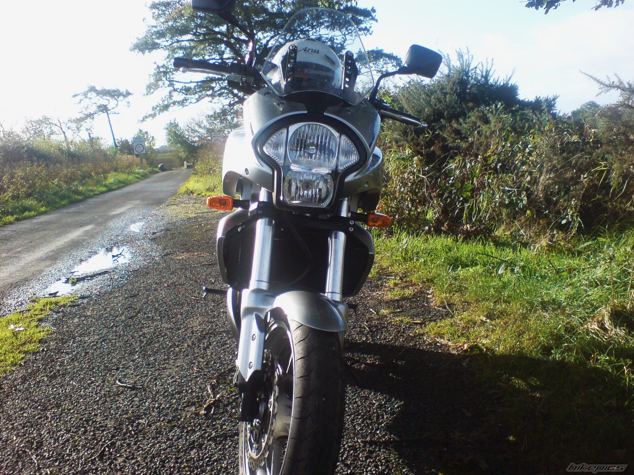 Photo 1459940