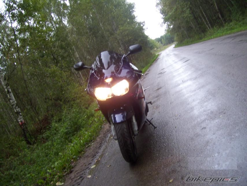 Photo 1459969