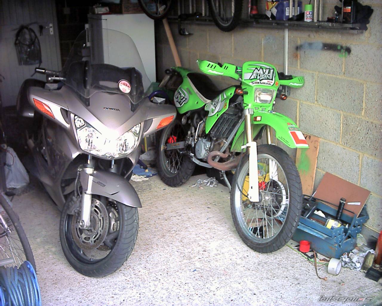 Photo 145997