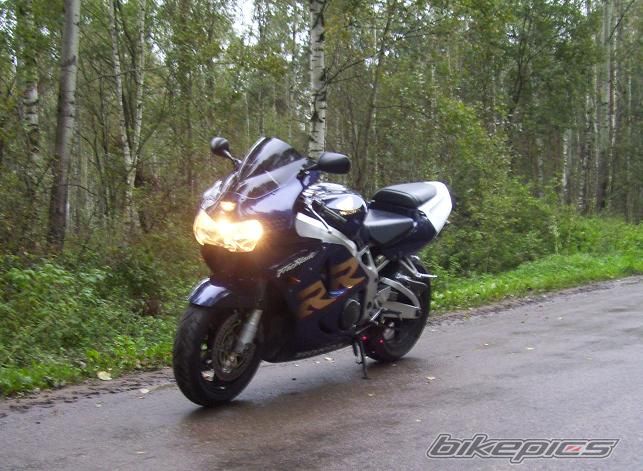Photo 1459971