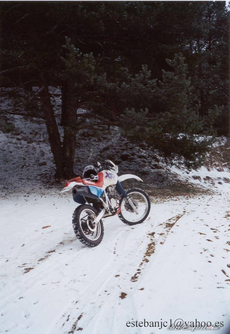 Bike Photo 145999