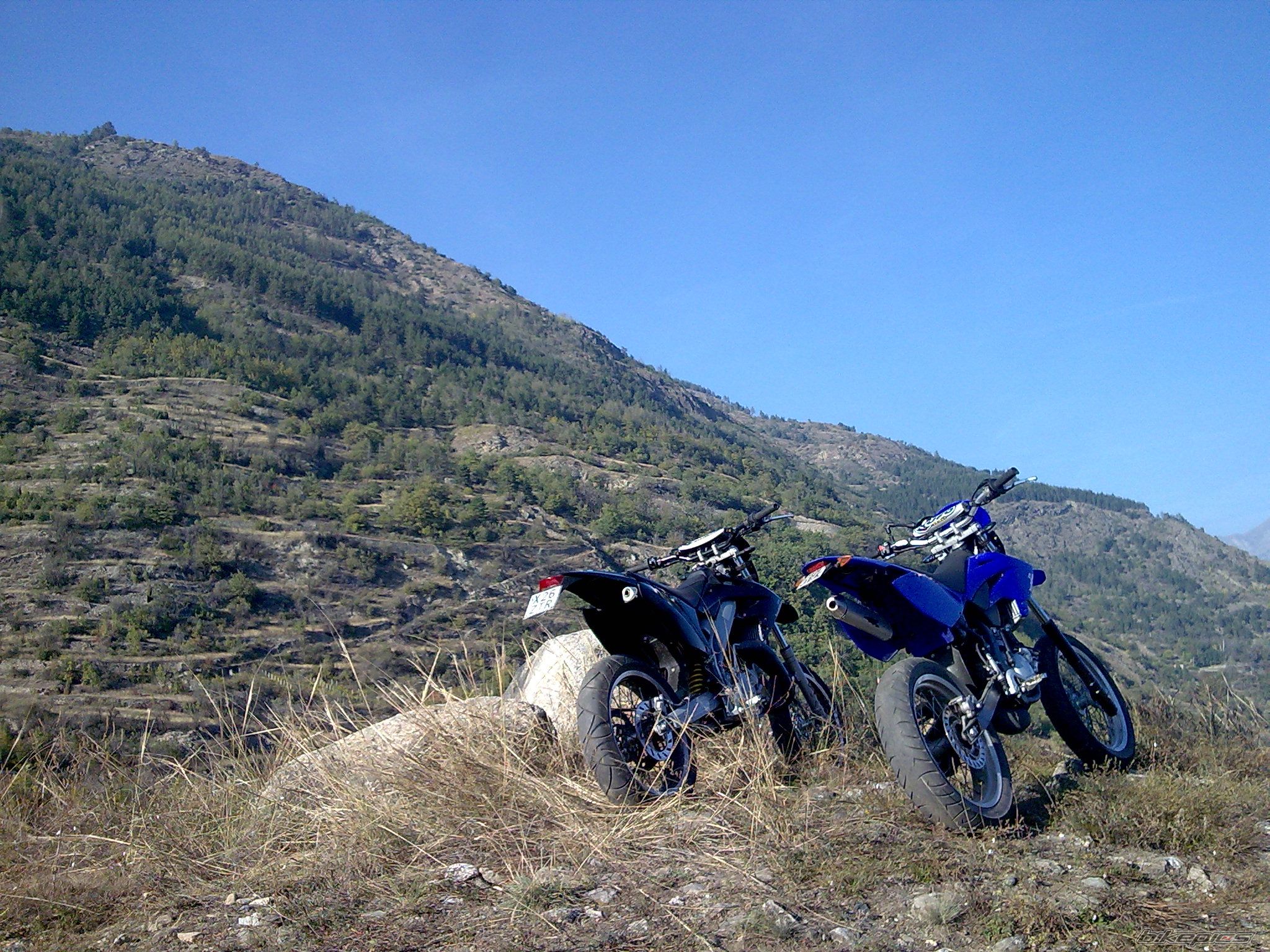 Photo 1460023