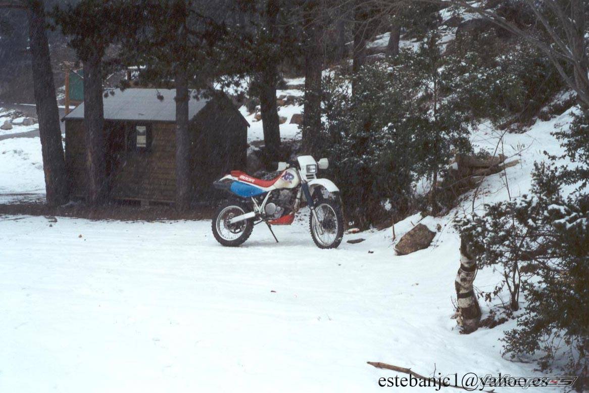 Bike Photo 146004