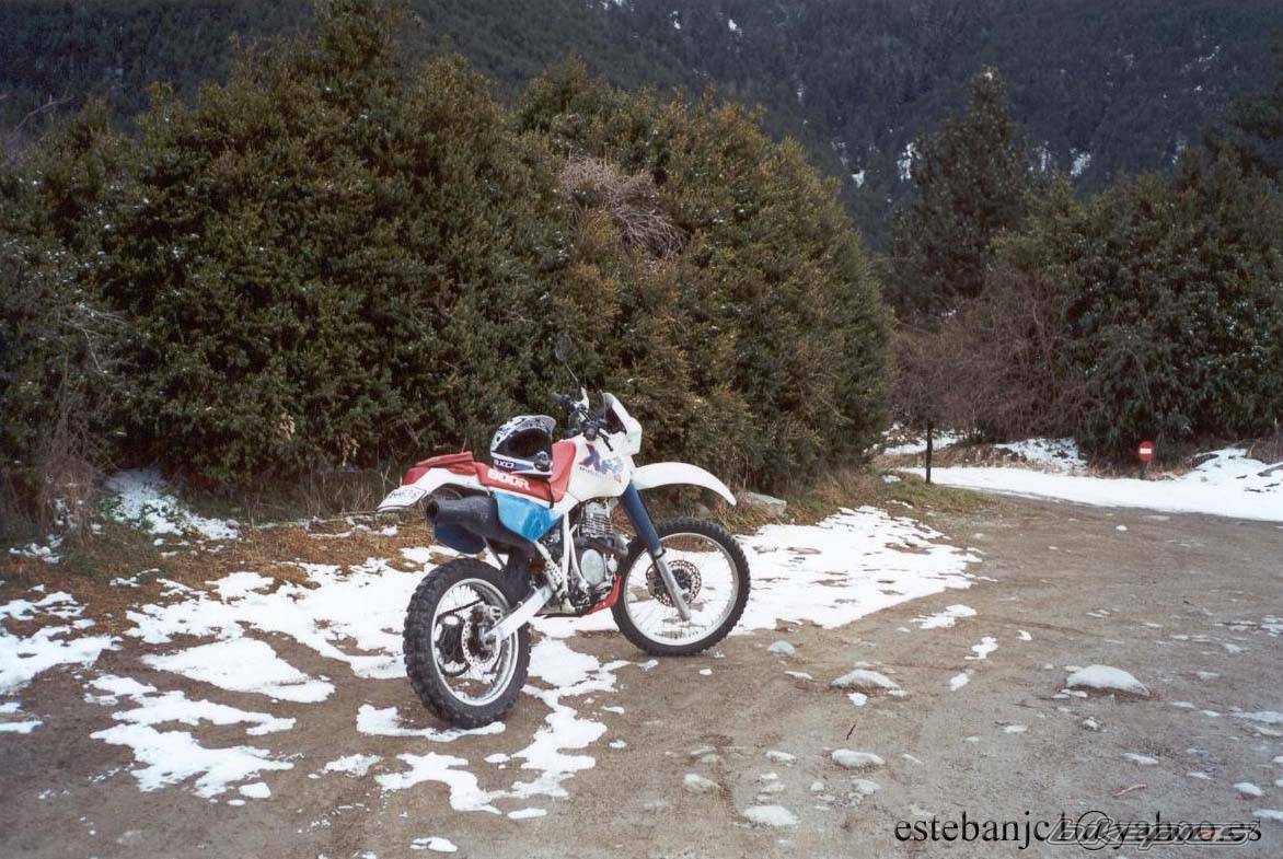 Bike Photo 146005