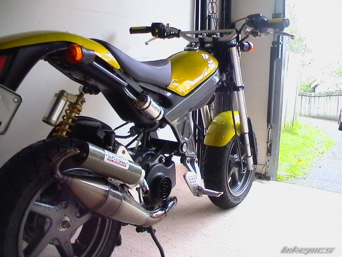 Photo 146006