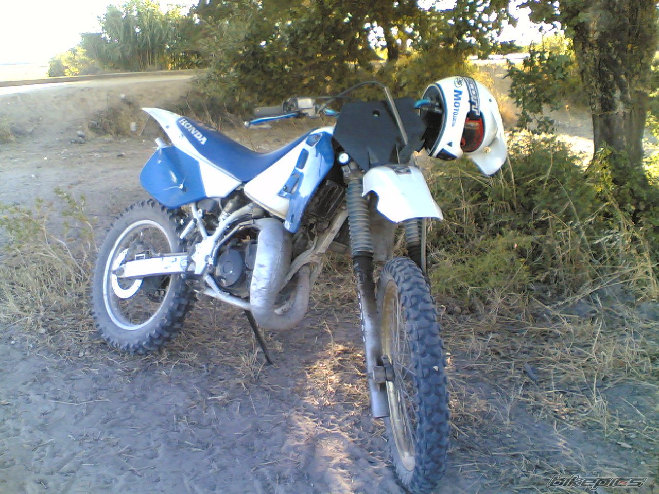 Photo 1460125