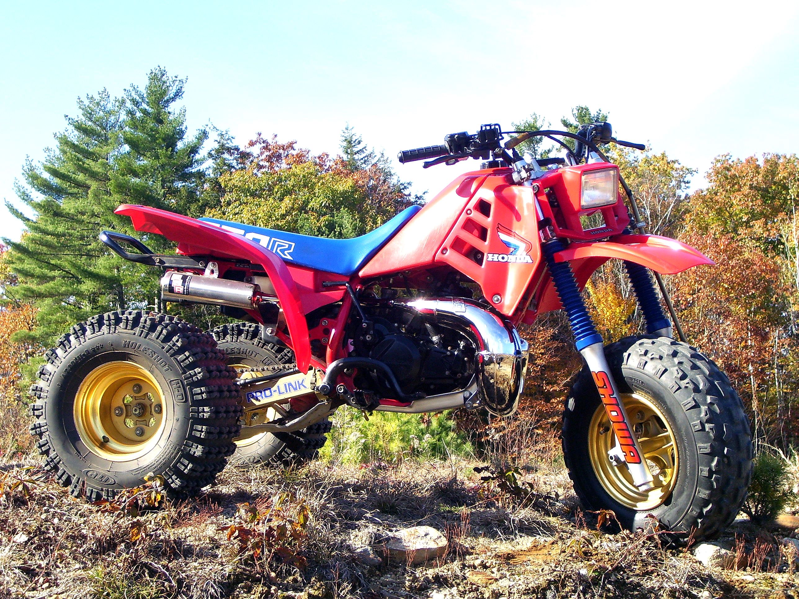 Photo 1460158