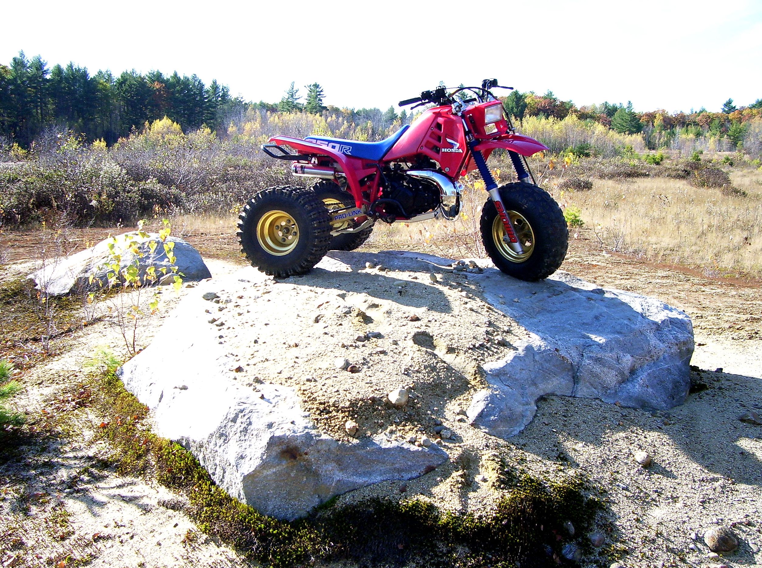 Photo 1460178
