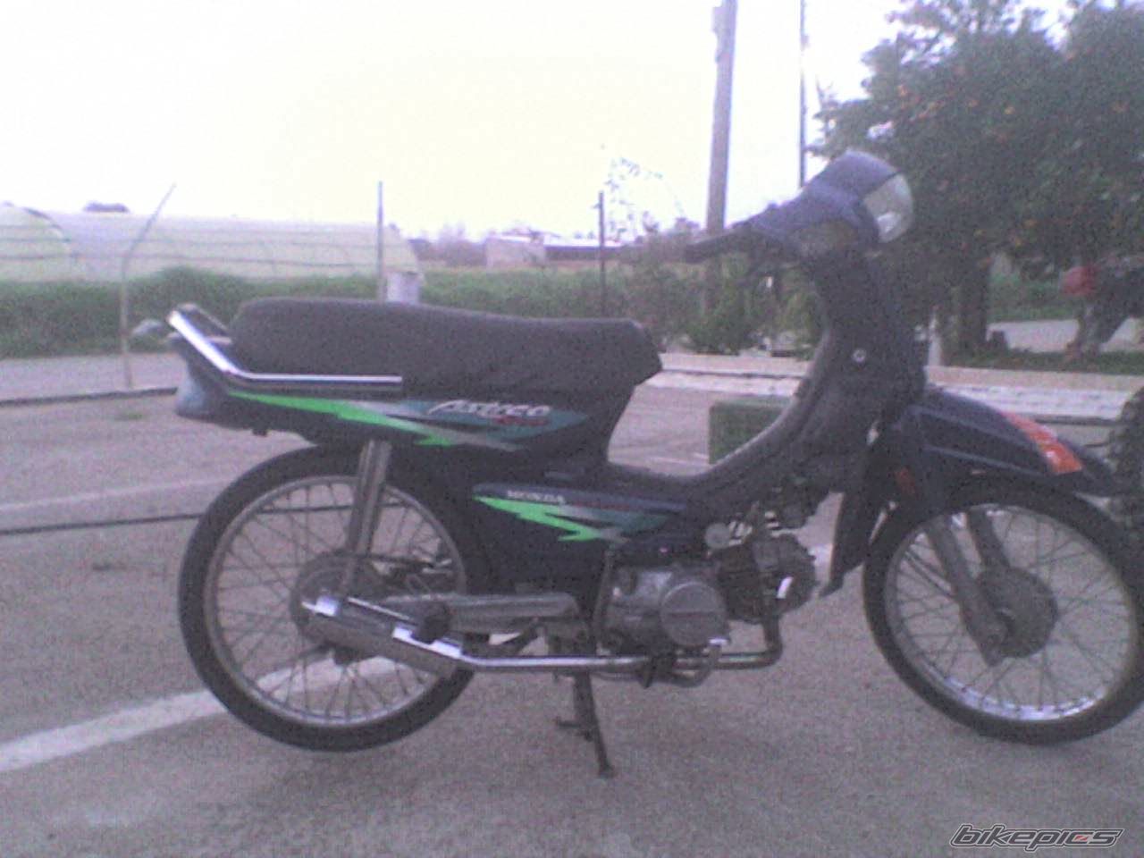 Photo 1460188