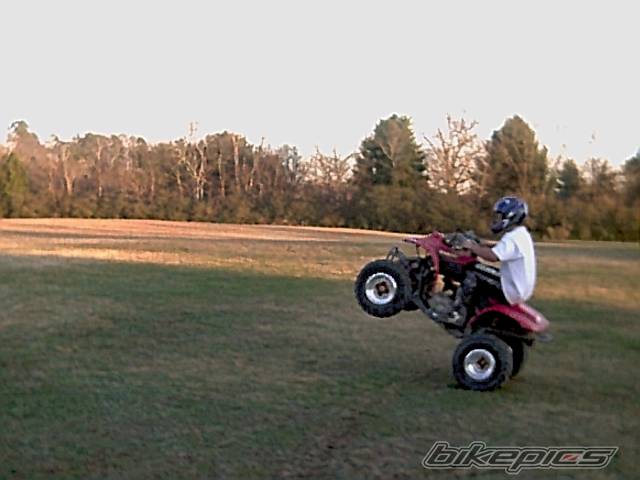 Photo 14602