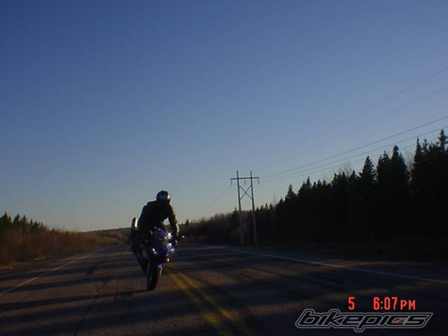 Photo 146021