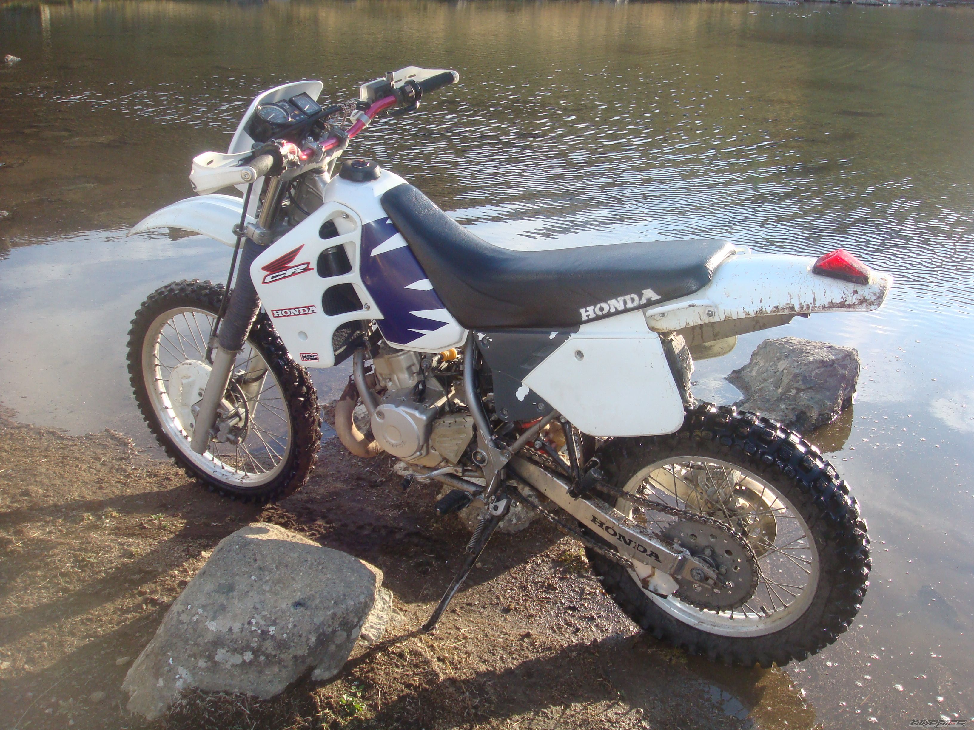 Photo 1460213