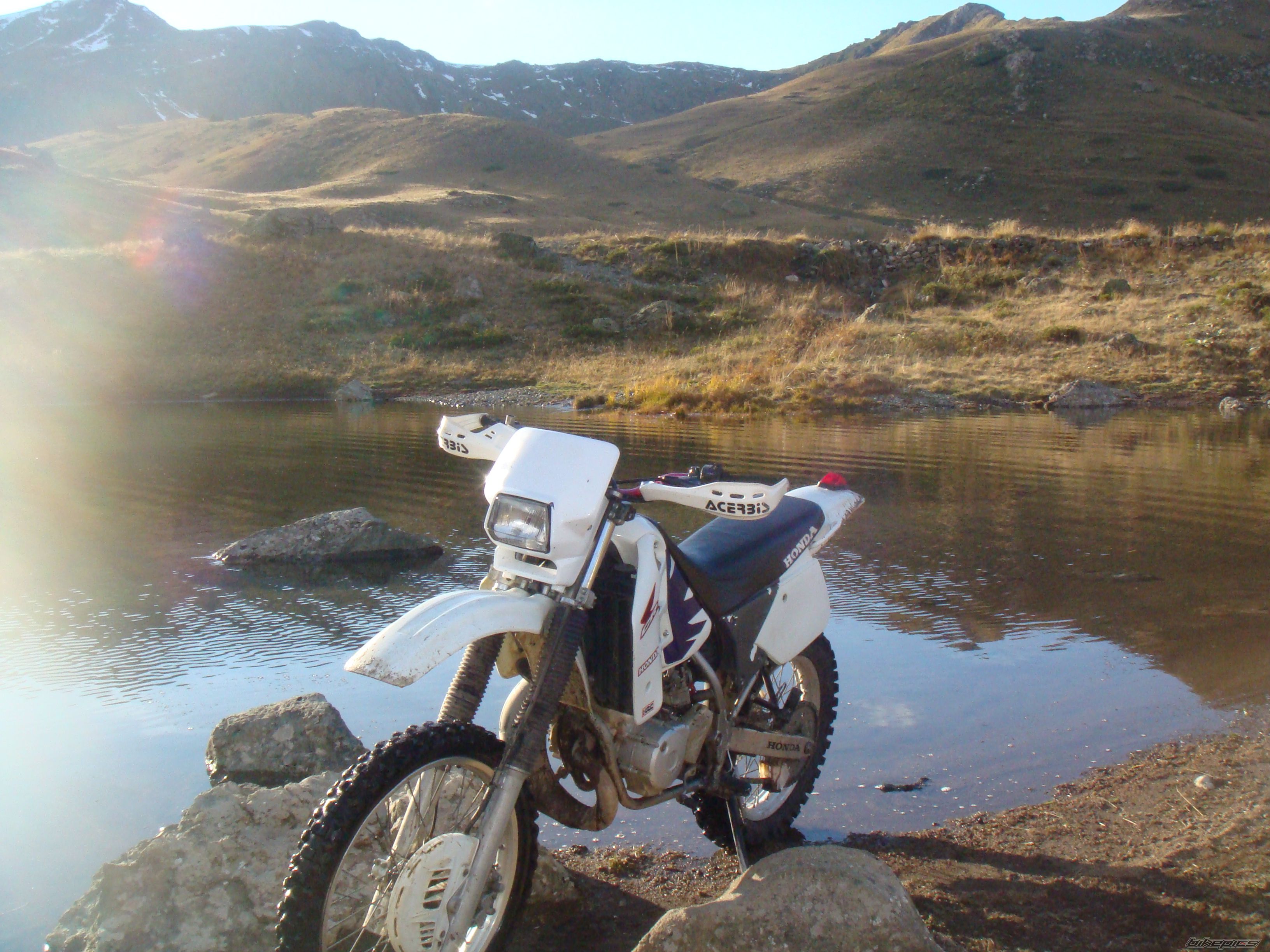 Photo 1460214