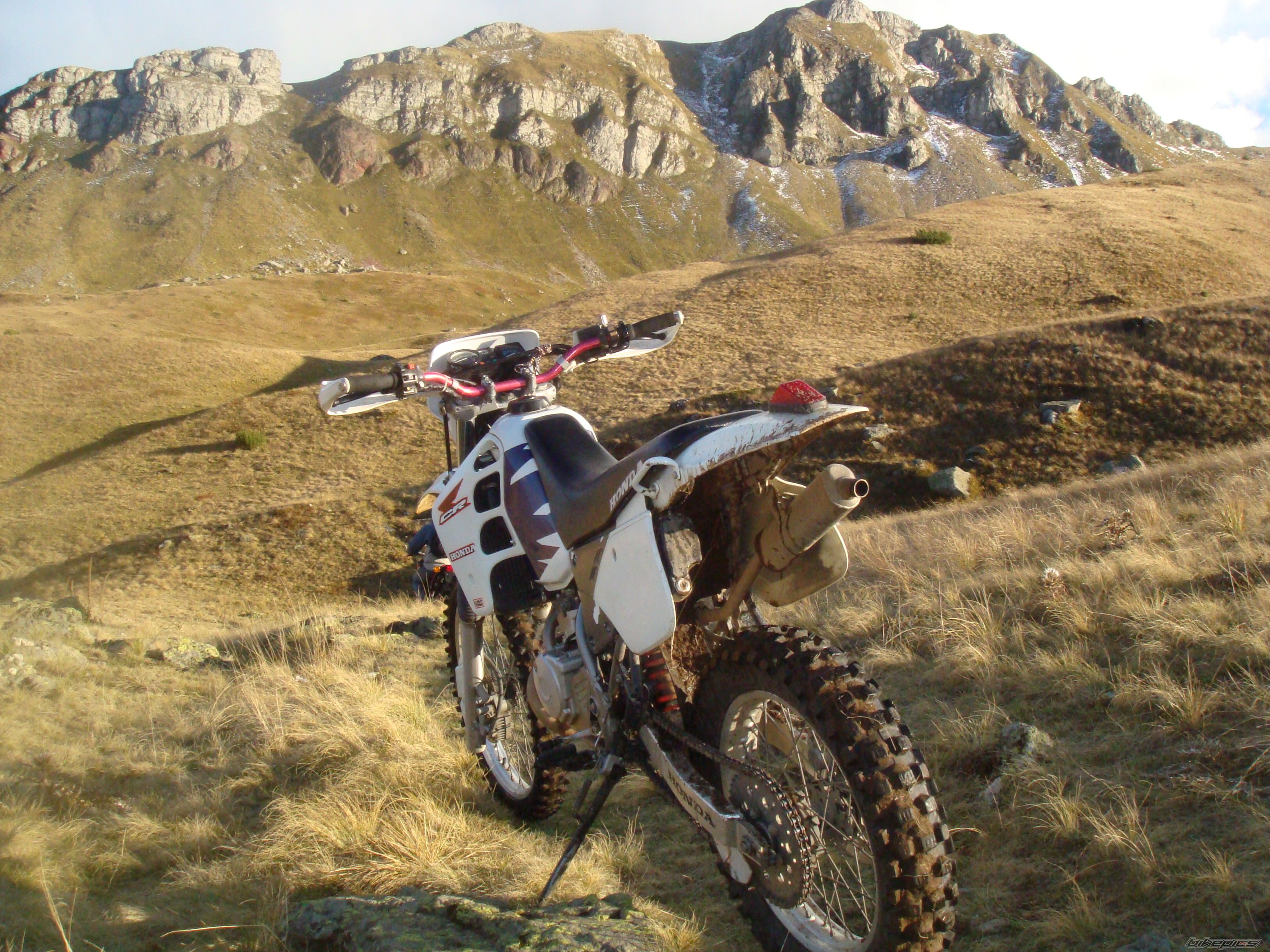 Photo 1460215