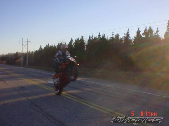 Photo 146024