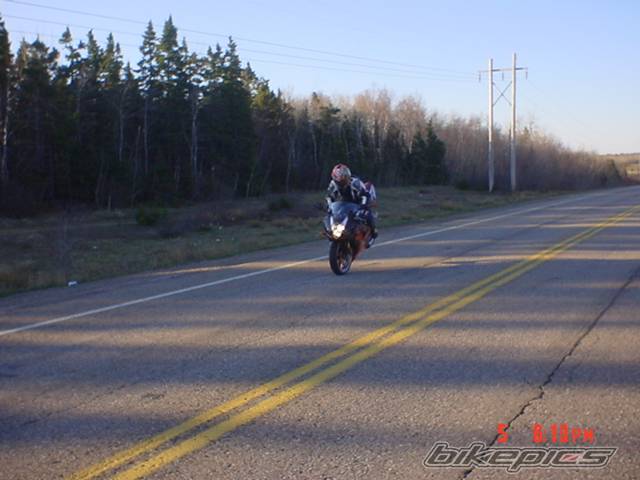 Photo 146026